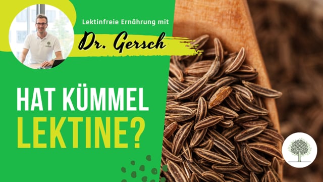 Hat Kümmel Lektine? 