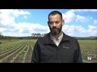 Manuel Barreiro, de FMC