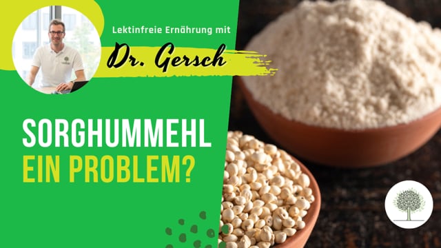 Warum habe ich extreme Blähungen bei reinen Sorghummehlbrötchen, aber bei reinen Weizenbrötchen mit Kümmel nicht? 