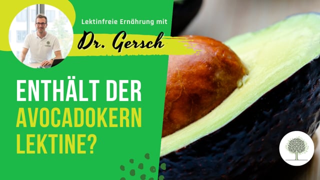 Enthält der Kern von Avocados Lektine?