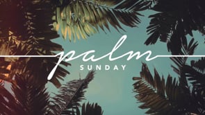 4.2.2023- Palm Sunday
