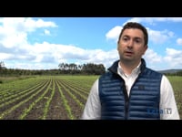 Rodrigo Ardura, de Timac Agro
