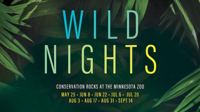 Minnesota Zoo Wild Nights 2023 - Minnesota Zoo