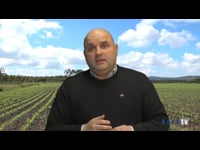 Marcos Expósito, de Sipcam