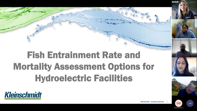 Fish Entrainment and Mortality Assessment Options for Hydroelectric Facilities