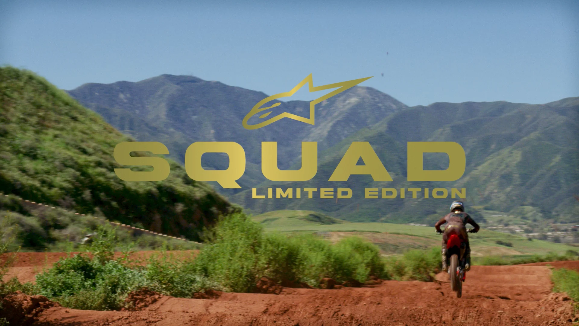 Alpinestars 【廃盤】TECH10 ブーツ スクアッド23 ダークブラウン