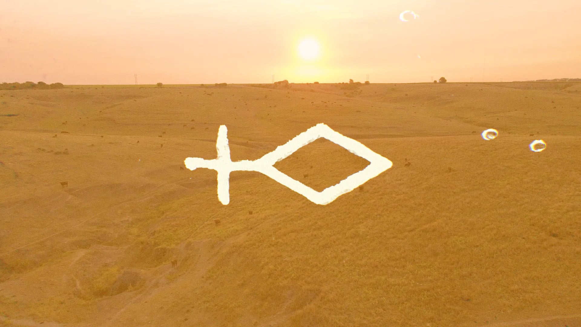 Our Story | Cross Diamond Ranch