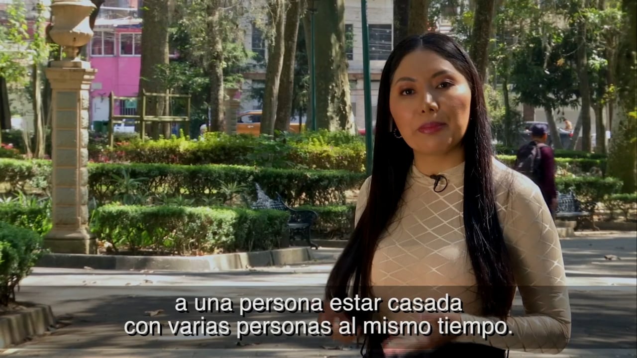 Diversidad Relacional