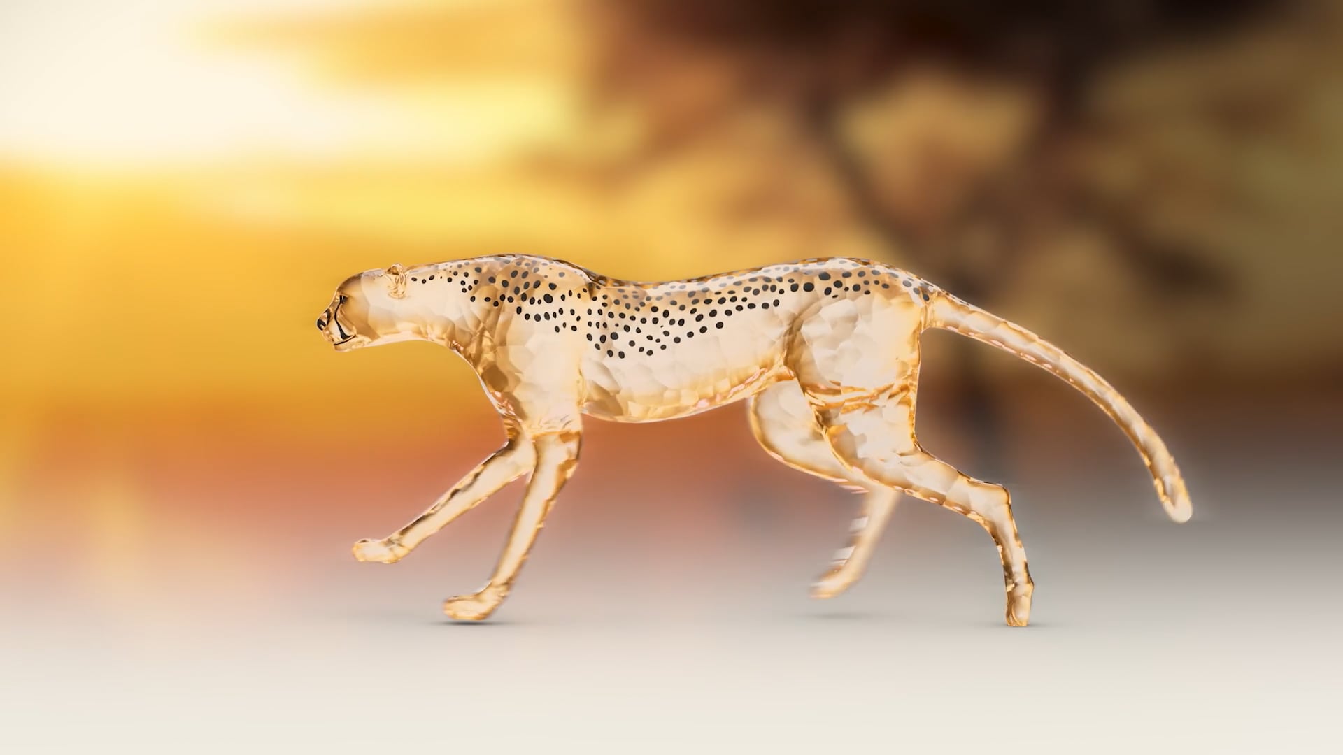 SWAROVSKI SCS AE 2023 Cheetah Mehira