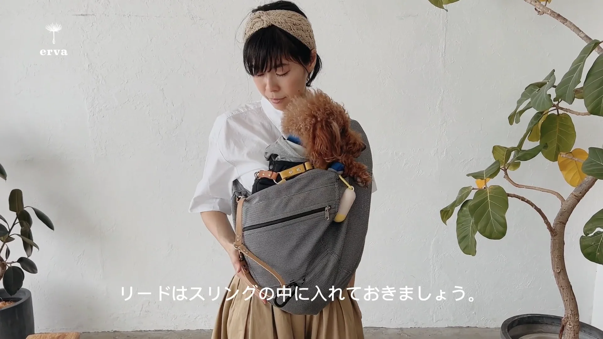 夏限定!犬用メッシュ抱っこ紐(小型犬・中型犬)最上級モデル 夏限定!犬用メッシュ抱っこ紐(小型犬・中型犬)最上級モデル