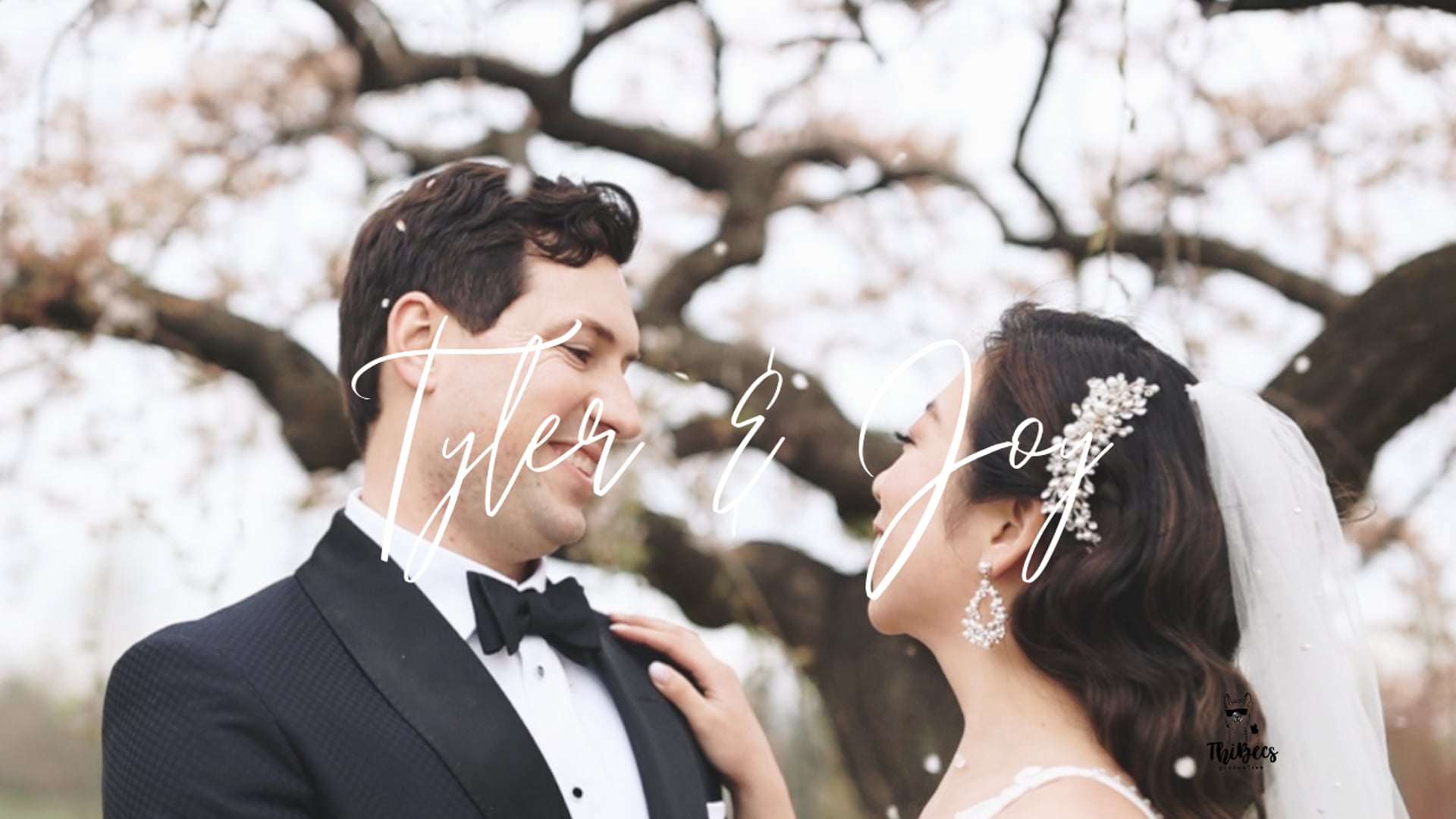 Joy & Tyler | Cinematic Wedding Highlight | Fairfax, VA