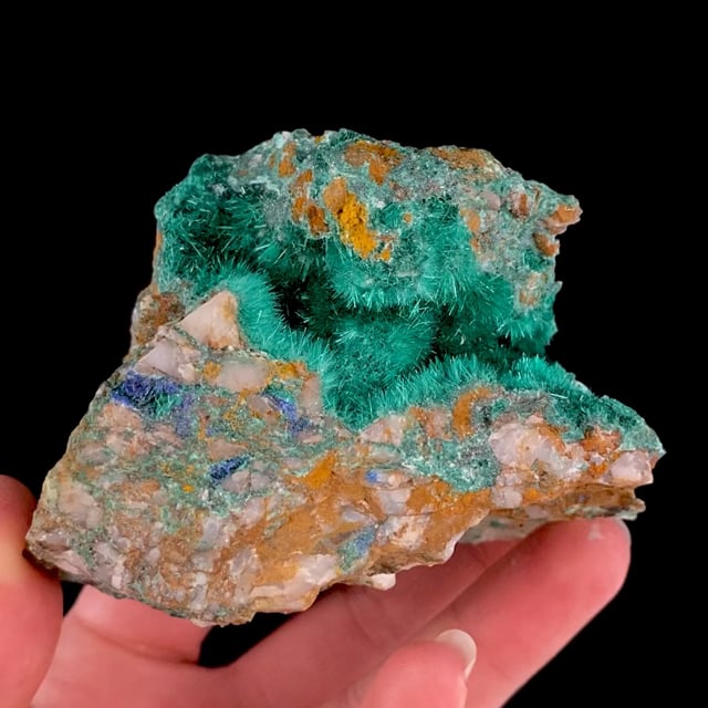 Brochantite (fine color and quality) | Goulmima, Errachidia Prov., Drâa ...