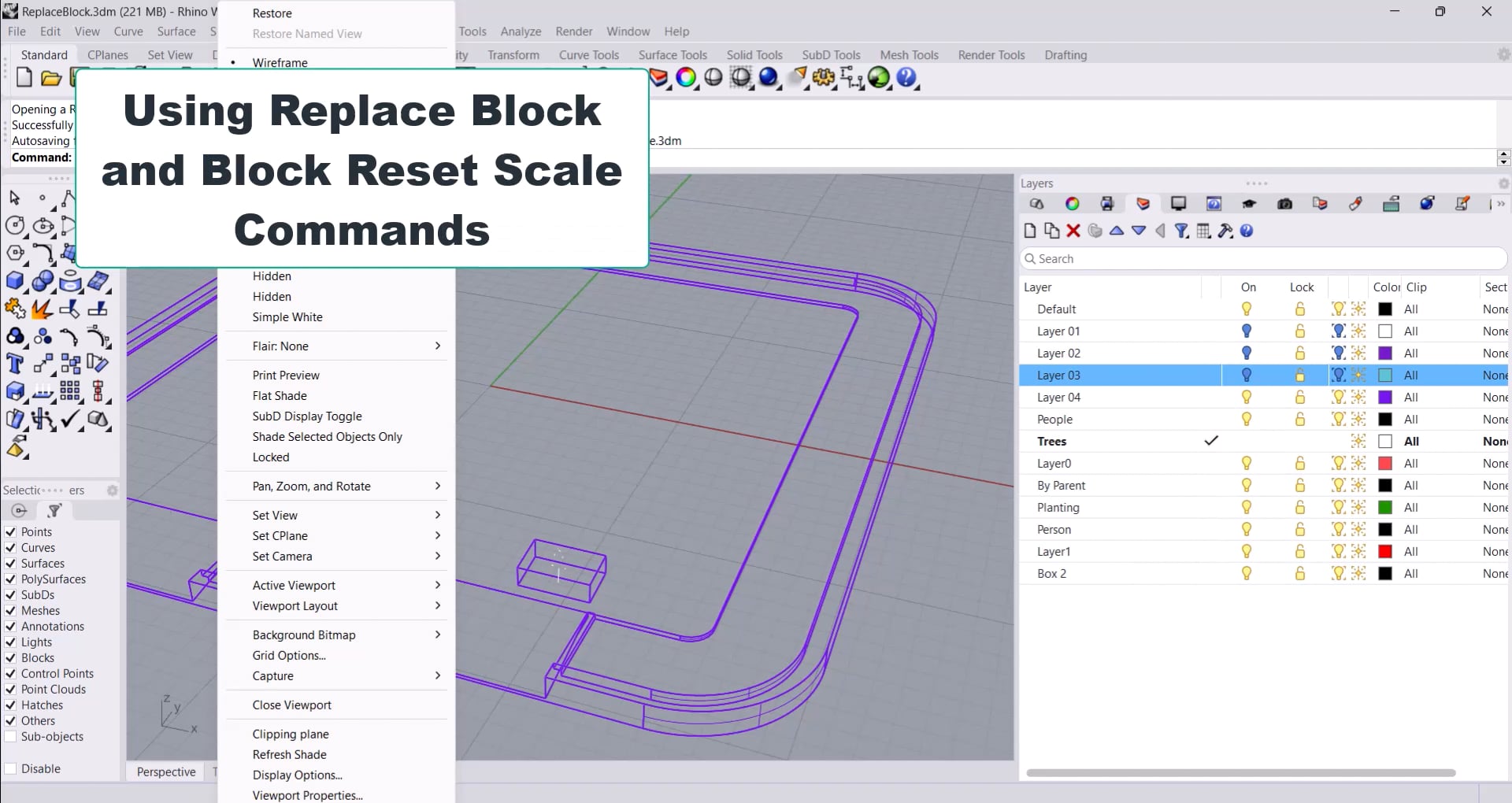 Rhino Block Tutorial ReplaceBlock and BlockResetScale Commands in Rhino 8 on Vimeo