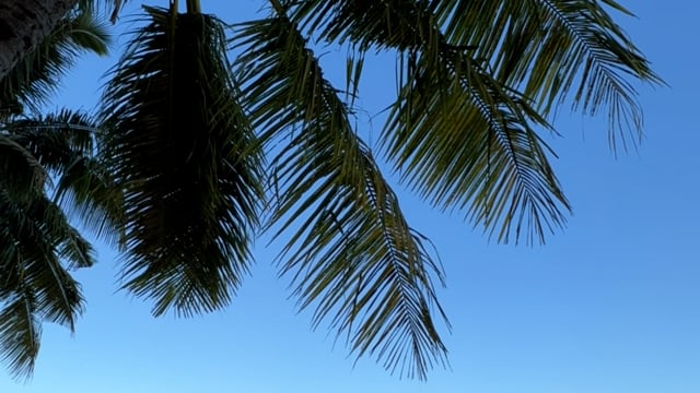Ocean Waves Beach Sand - Free video on Pixabay