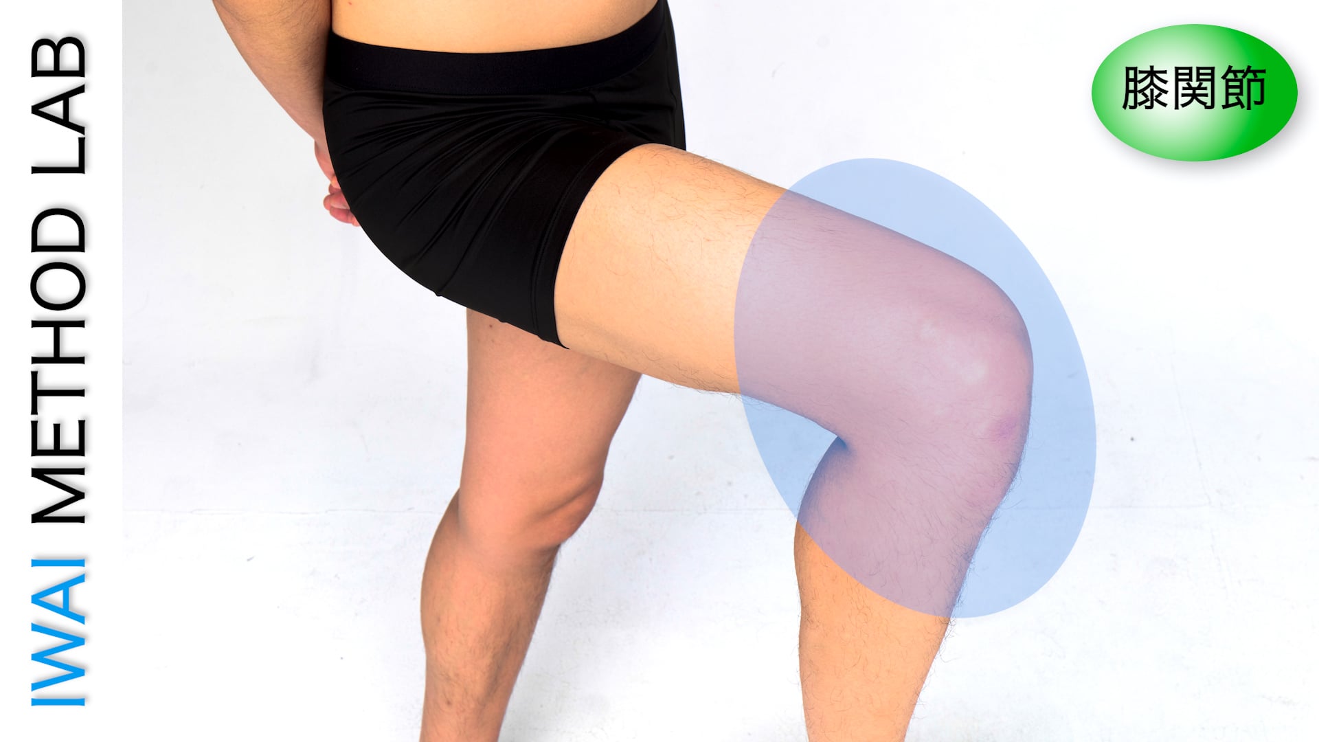 オンライン実技講習：膝関節及び周囲に蓄積する炎症改善ポイント