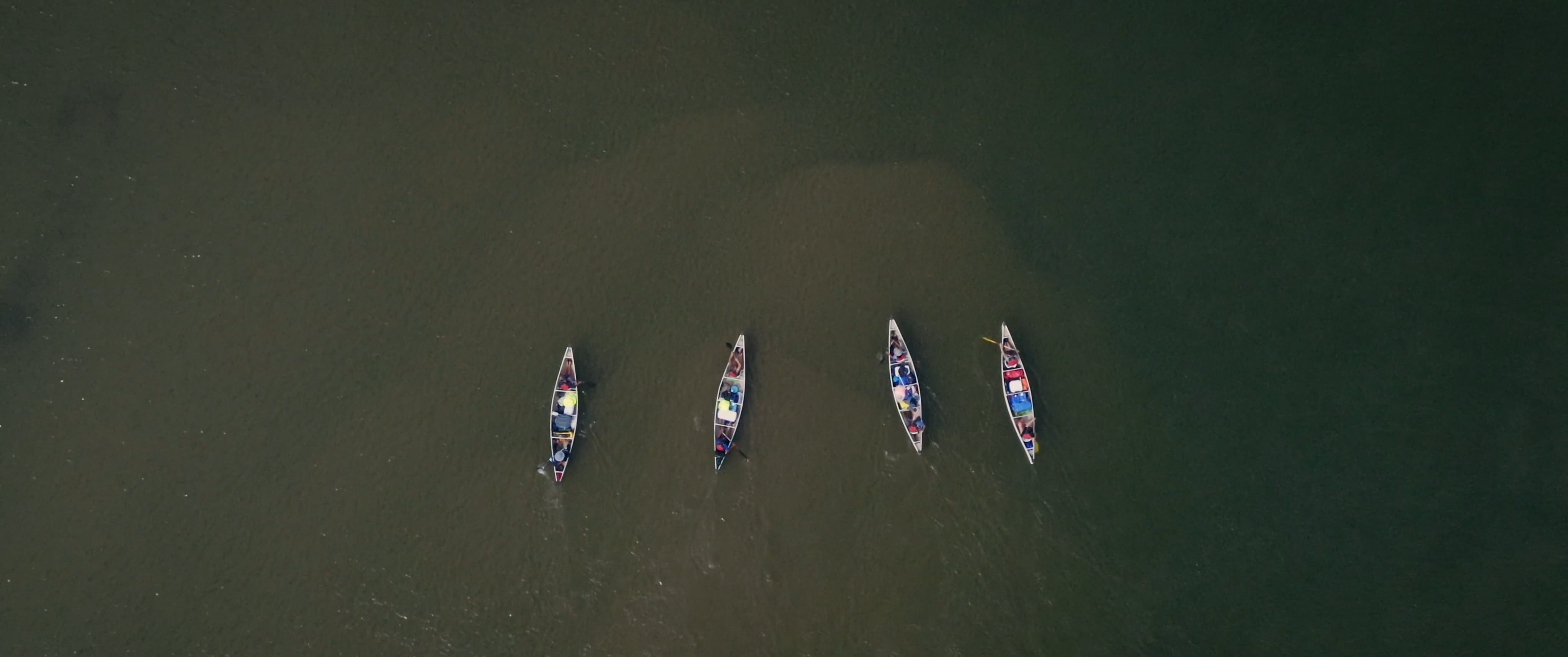 ScienceTrek | Saskatoon Public Schools