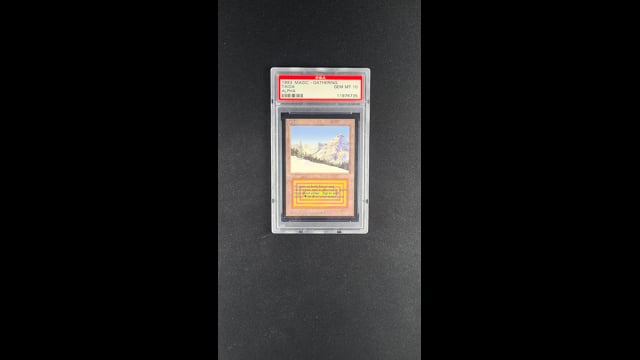 1993 Magic The Gathering MTG Alpha Dual Land Taiga R L PSA 10 GEM
