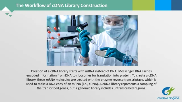 genomic library construction