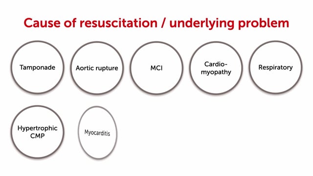 What etiologies of cardiac arrest can be diagnosed with ultrasound?