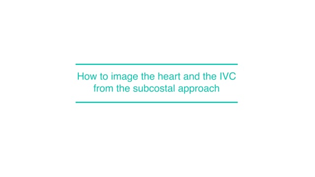 How to image the heart and the IVC from the subcostal approach