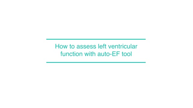 How to assess left ventricular function with auto-EF tool