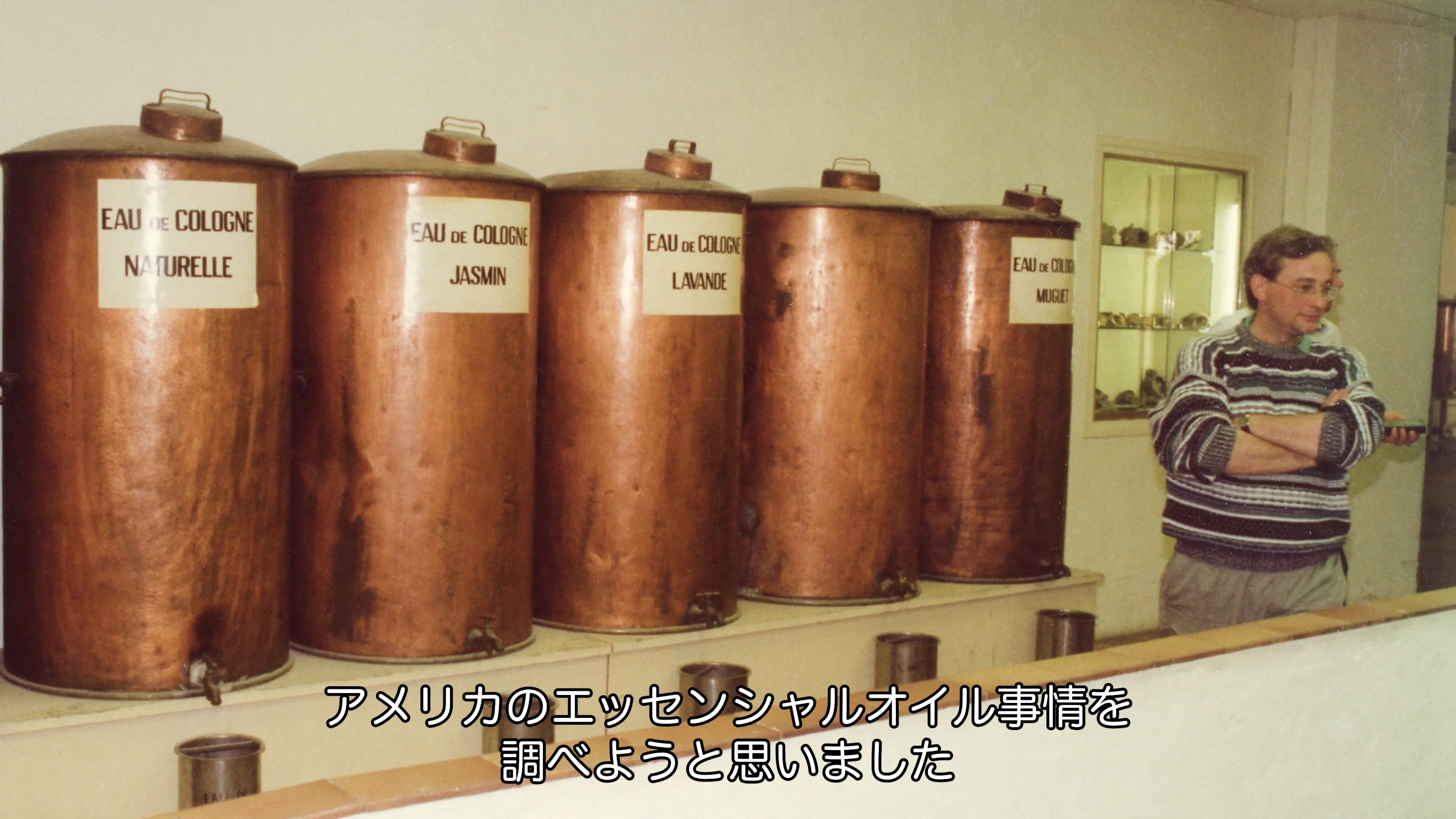 にゃおる　ワイエルジョイとラベンダー 瞬足 JB-098 ラベンダー｜「いないいないばあっ!」コラボモデル