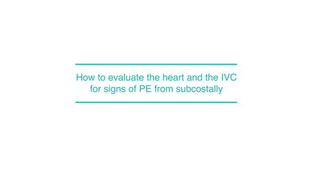 How to evaluate the heart and the IVC for signs of PE from subcostally