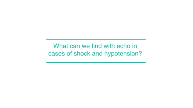 What can we find with echo in cases of shock and hypotension?