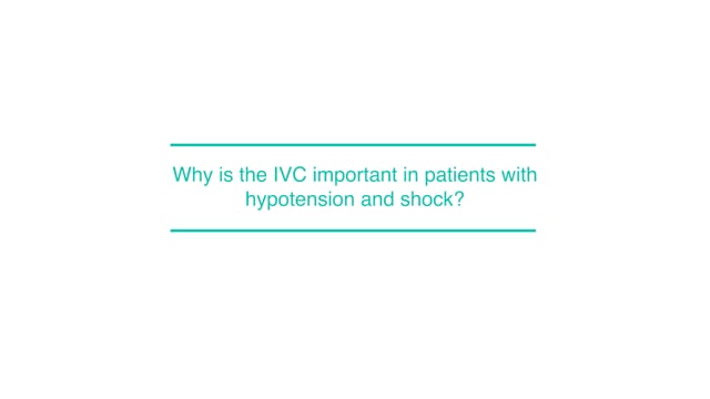 Why is the IVC important in patients with hypotension and shock?