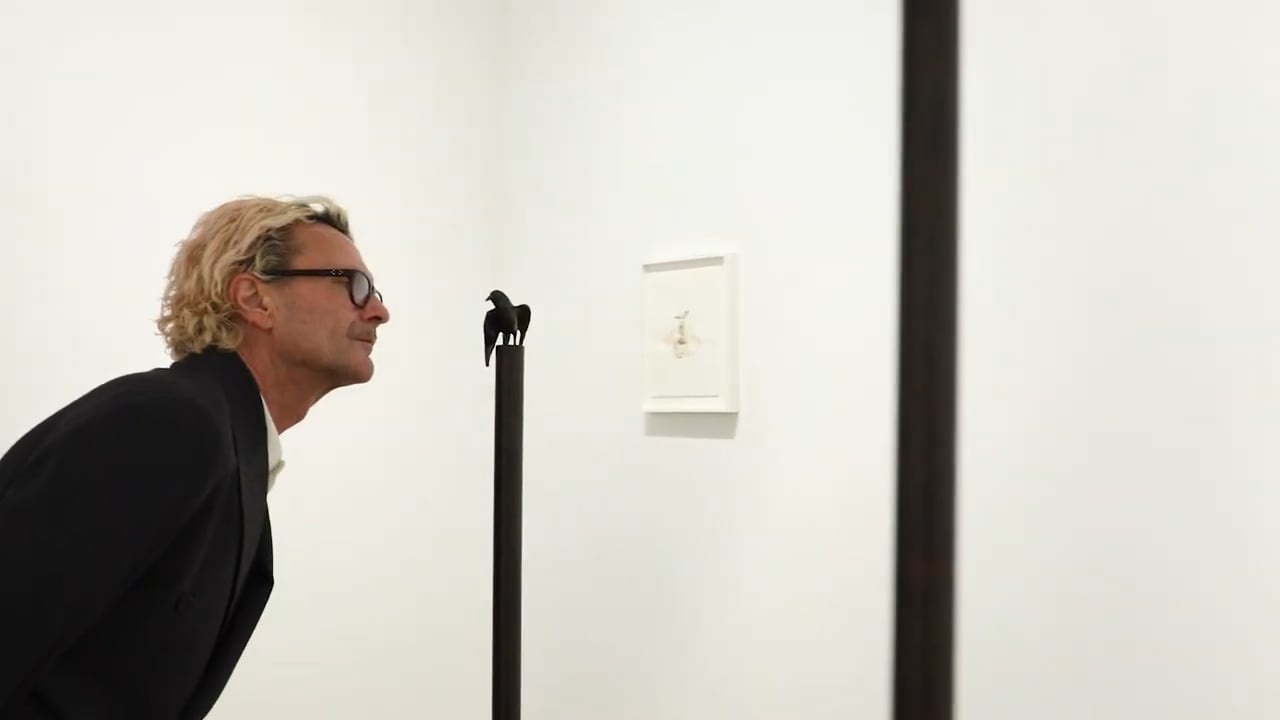 In the Gallery: Jerry Stafford on 'Rara avis'