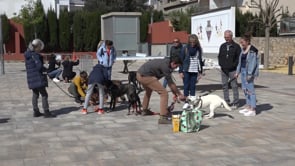 L'Anxova Peluda celebra el seu desè aniversari
