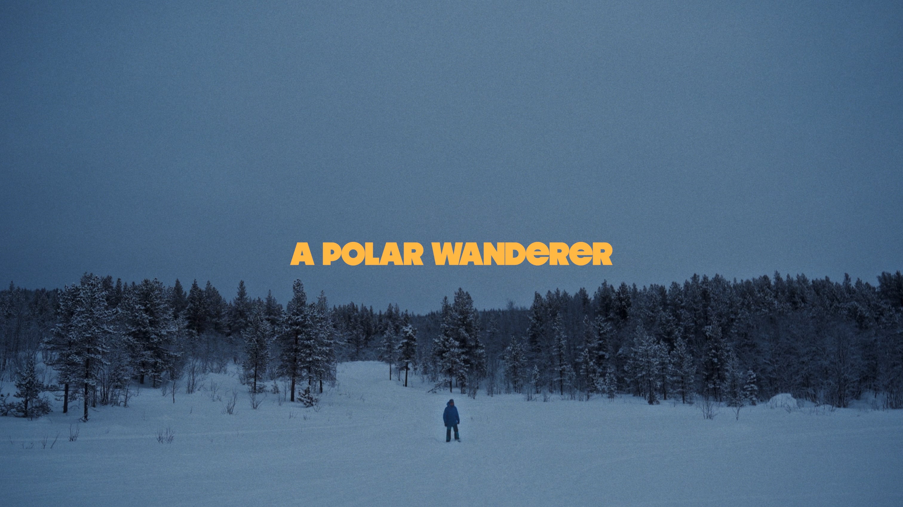 A Polar Wanderer