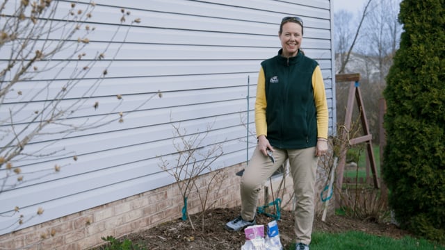 How to Prune & Fertilize Blueberry Bushes