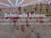 Newswise:Video Embedded salmonella-solution