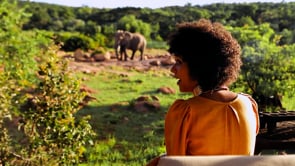 A wilderness wonderland, at your doorstep - Makweti Experience