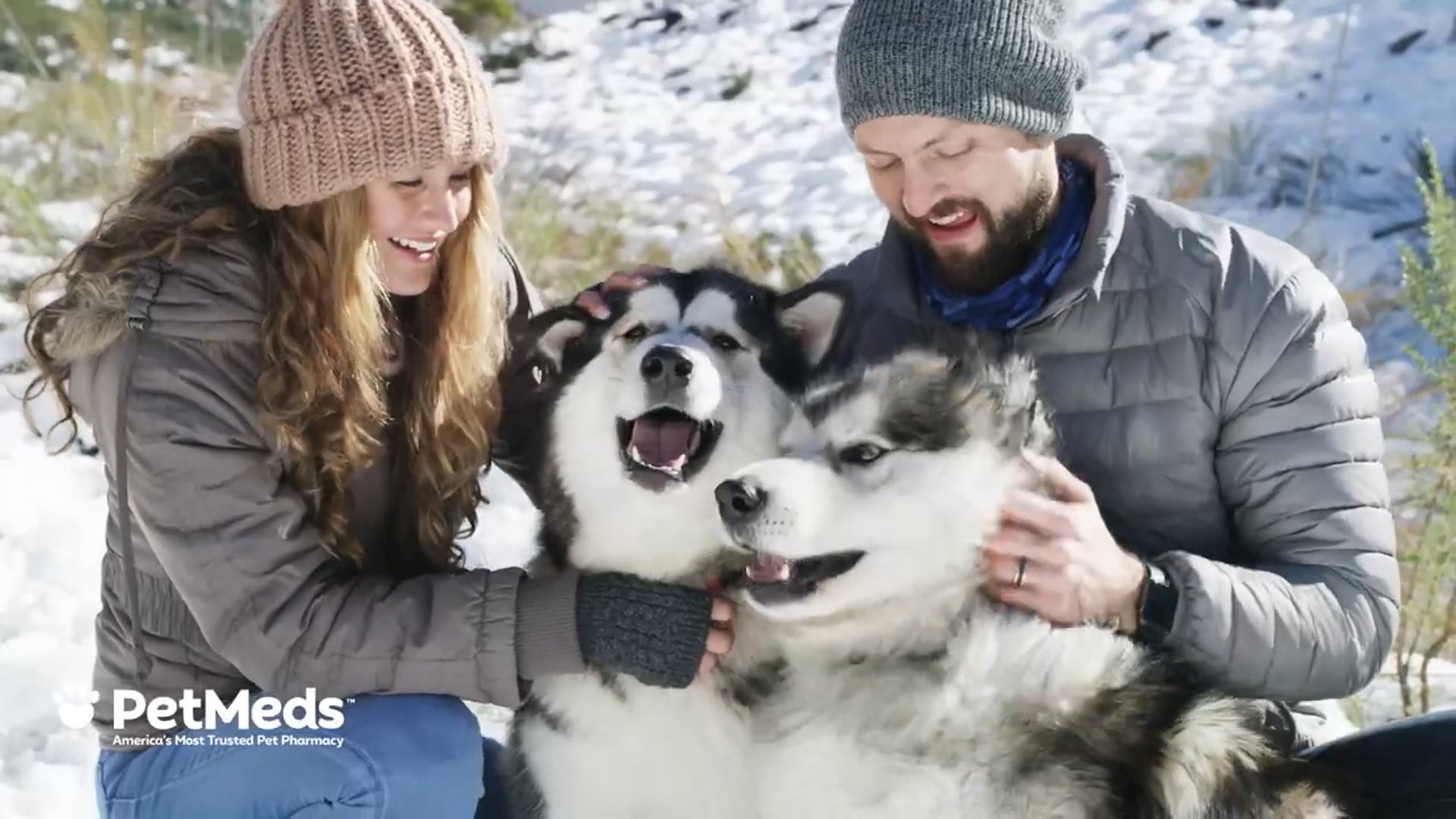 PET Flea & Tick - Winter Prevention