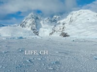 Life Changing Antarctica 2024-25 Season