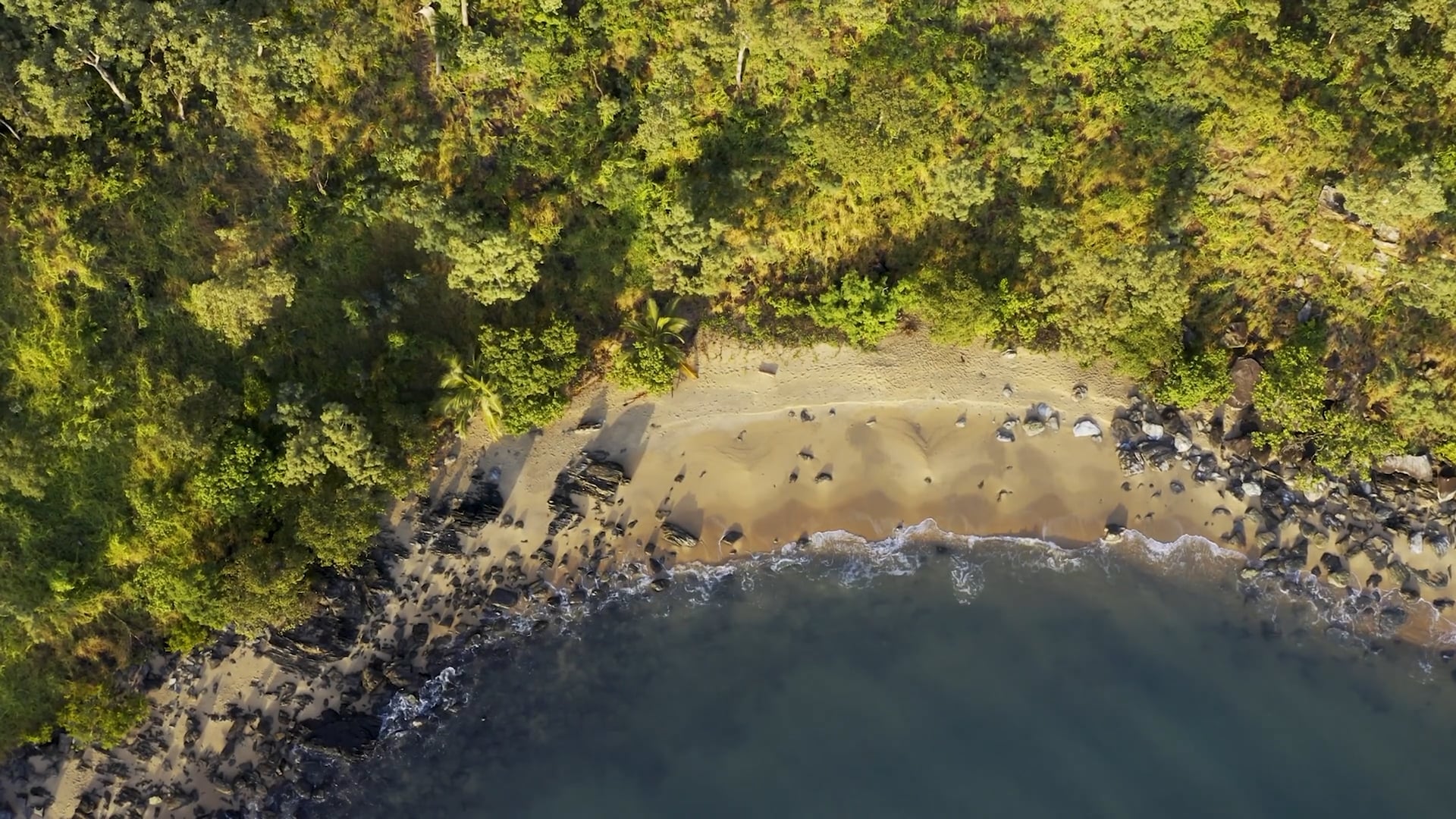 The Headland, Palm Cove