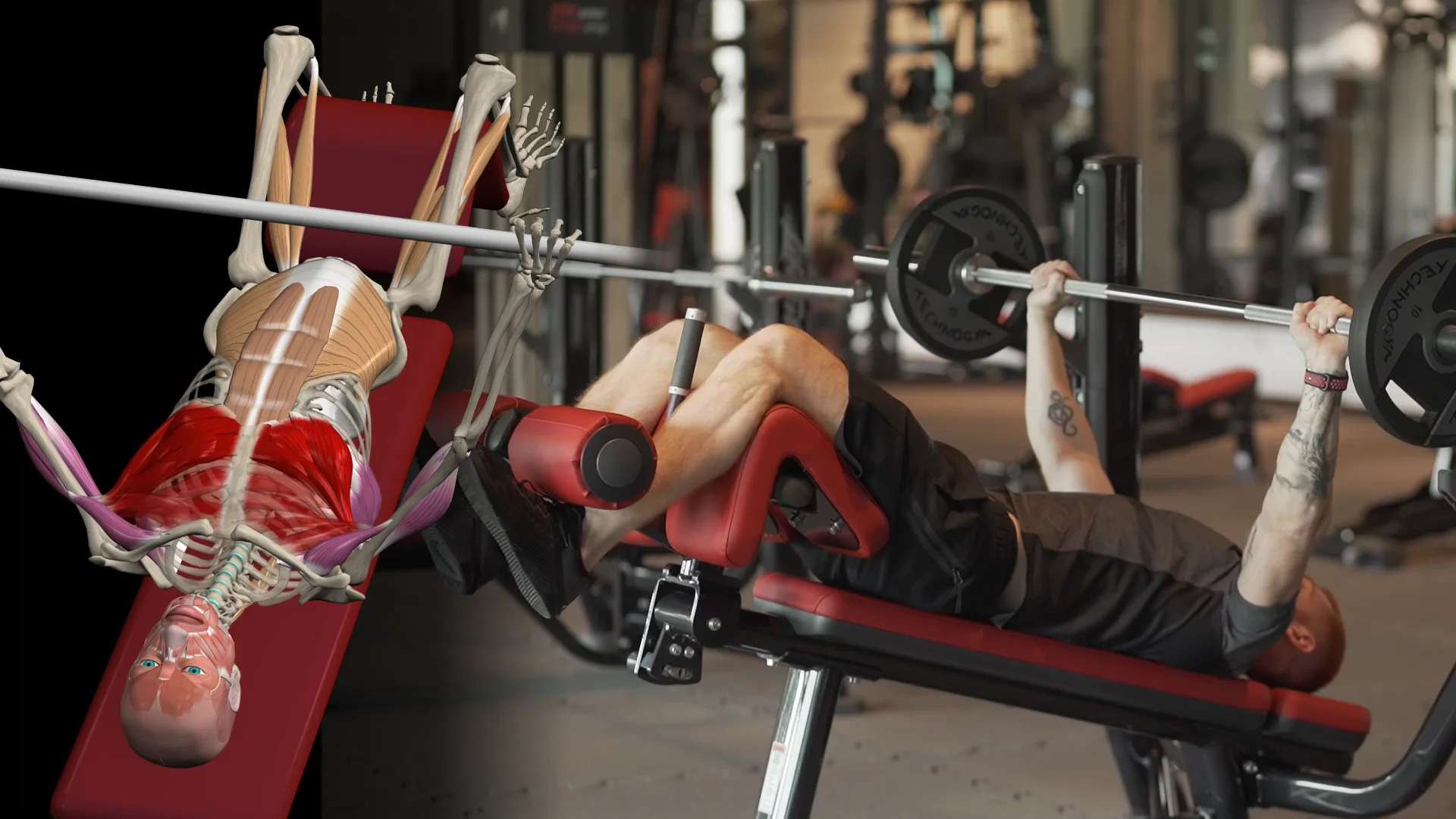 Decline Bench Press Barbell .mp4