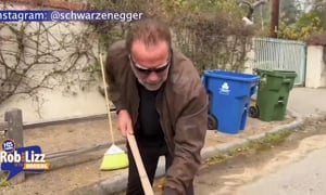 Arnold Schwarzenegger to the Rescue