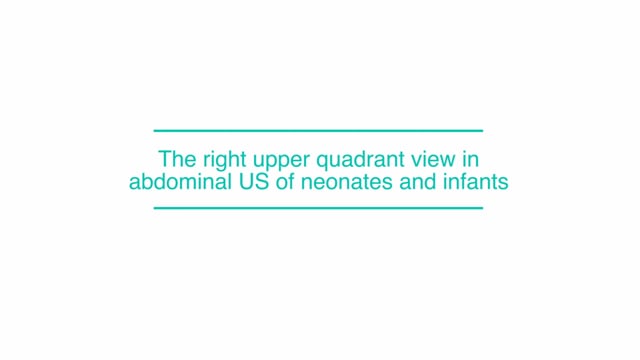 The right upper quadrant view in abdominal US of neonates and infants