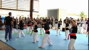 Fi de curs Taekwondo L'Escala