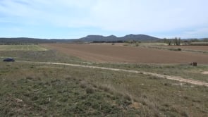 La sequera amenaça la collita de cereal i fruita de l'Escala i el Baix Ter