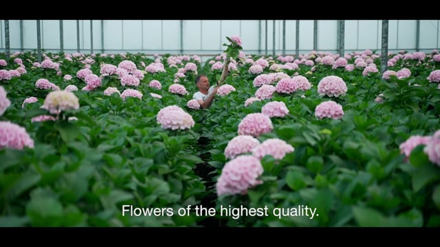 Corporatevideo Florca