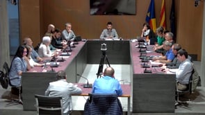 L'informe del Síndic de Greuges evidència 'retards' en resoldre les consultes