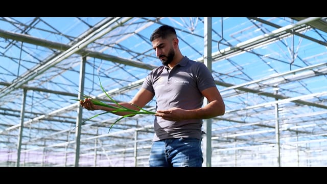 Corporatevideo Kwekerij Middenweg