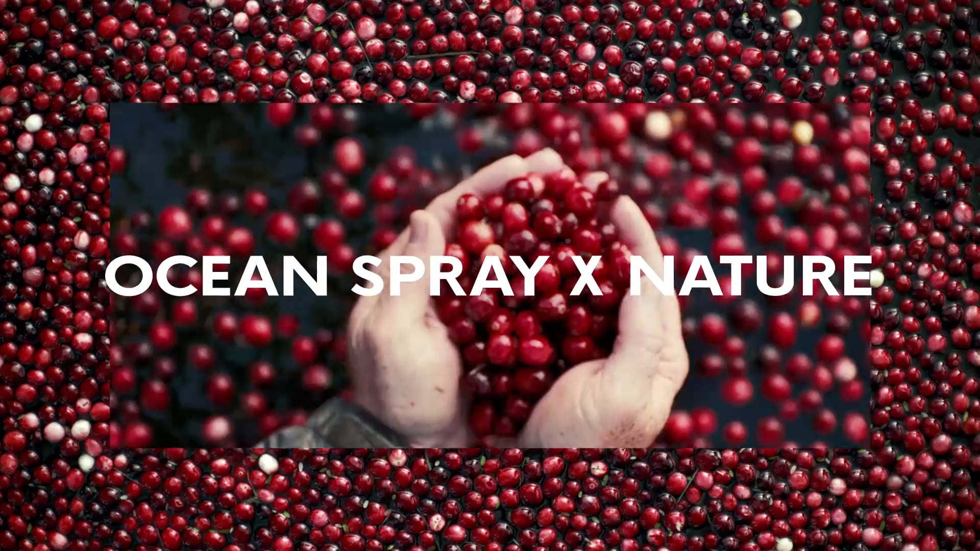 Ocean Spray x Nature | Anthem