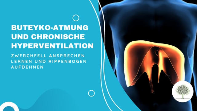 Das Zwerchfell ansprechen lernen und den Rippenbogen aufdehnen 
