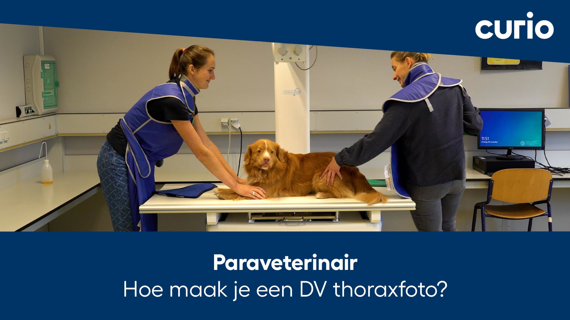 Paraveterinair | Instructievideo | Hoe Maak Je Een DV Thoraxfoto? On Vimeo