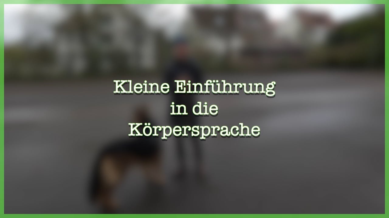 Der Umgang mit dem Hund über die Körpersprache von Stefanie Ströbele